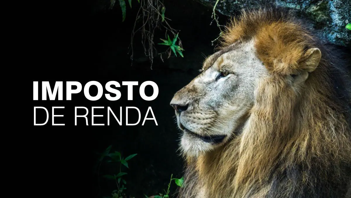 Dica para a declaração de Imposto de Renda relacionada a imóveis que não correspondem a renda atual do proprietário