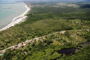 O mercado imobiliário e hoteleiro em expansão de João Pessoa, na Paraíba