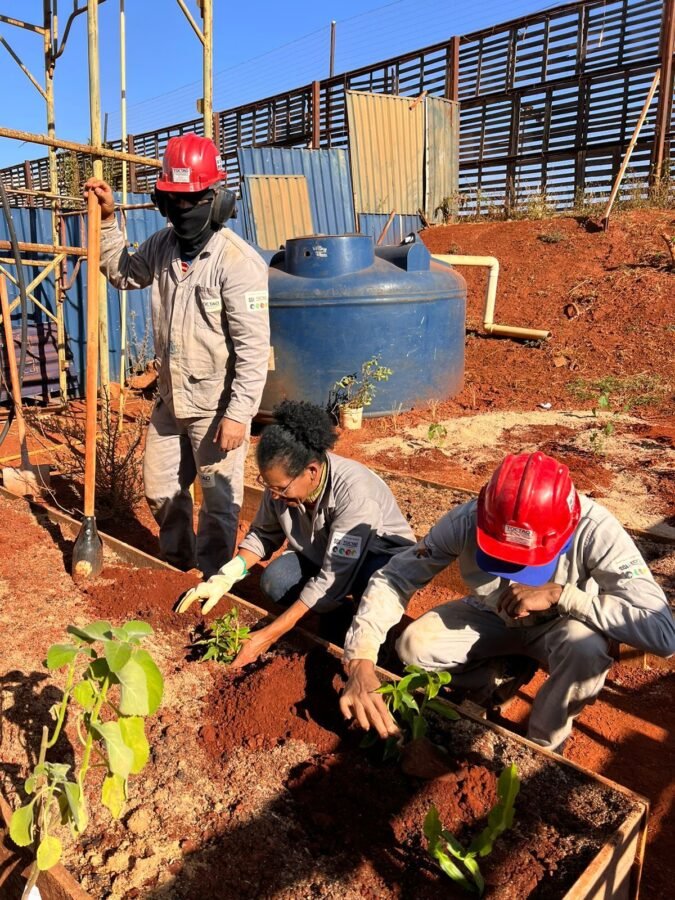 Horta em canteiro de obras garante hortaliças fresquinhas a funcionários de construtora